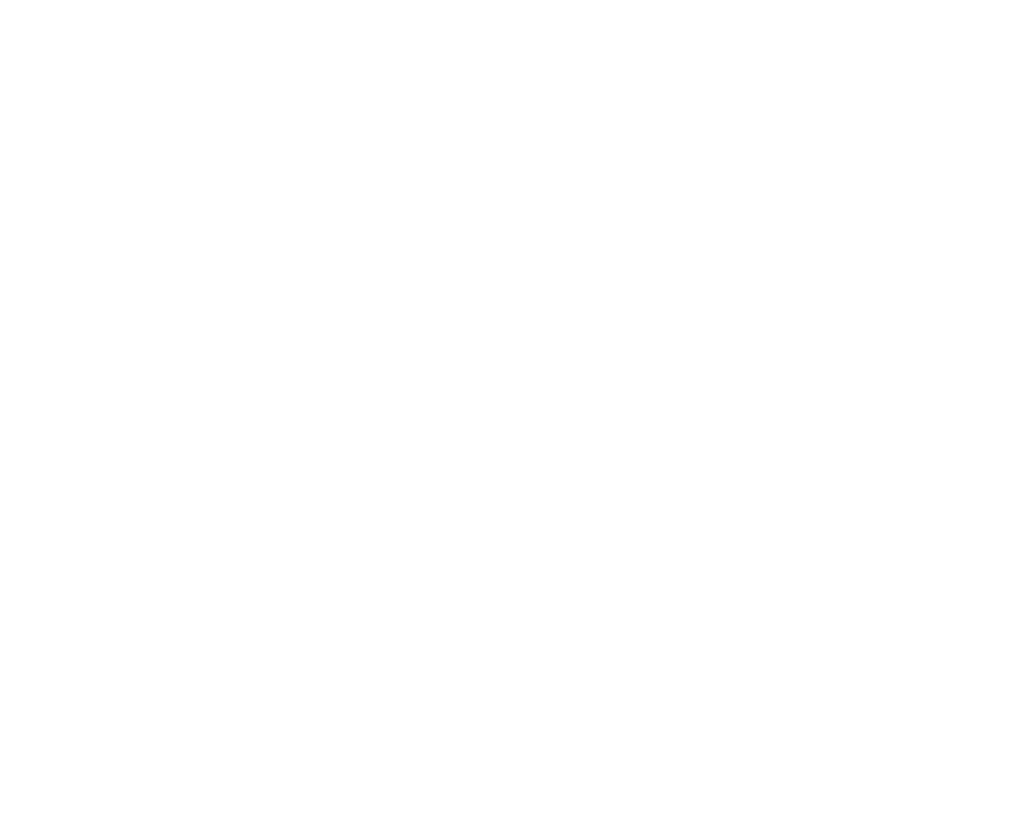 The Novel Baker White Logo